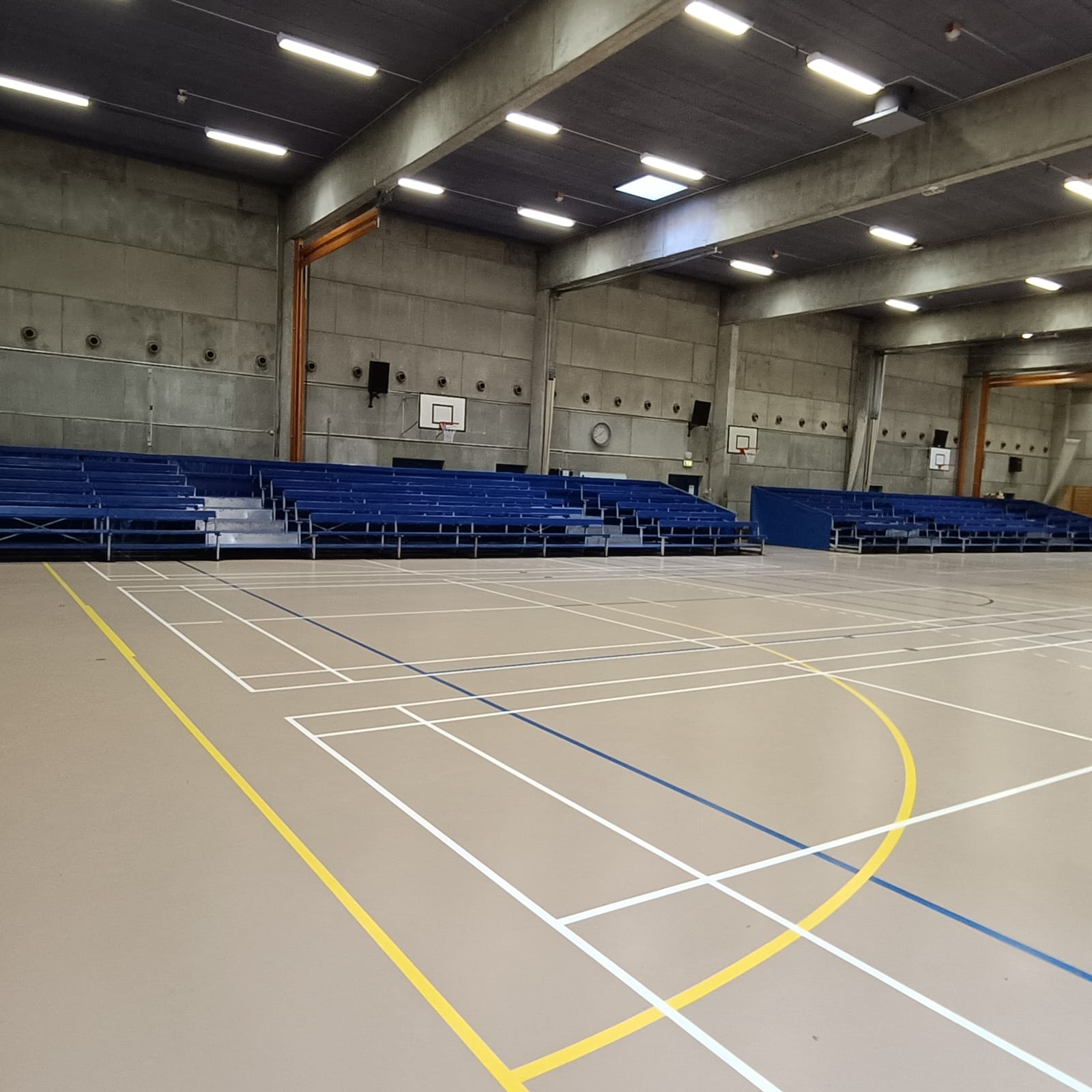 tribuneudlejning til Bellinge Gymnasterne